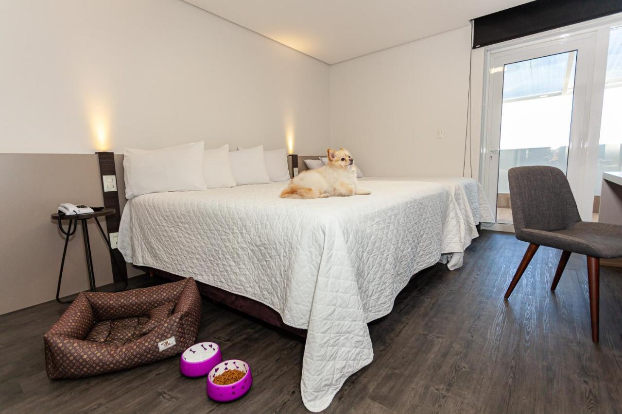 Travel Inn Hotels Кашиас-ду-Сул Экстерьер фото